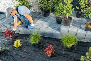 Transform Your Yard with Professional Landscaping