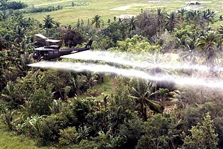Remembering the Children of Agent Orange: How Dioxin Damages Generation After Generation