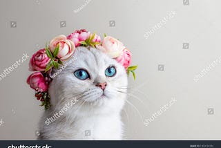 https://www.shutterstock.com/image-photo/portrait-charming-white-cat-wearing-crown-1900154992