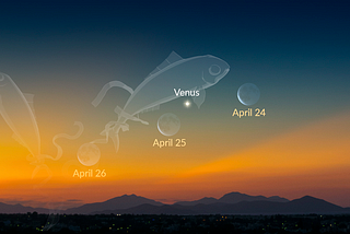 Venus Shines At Its Brightest: How To See It