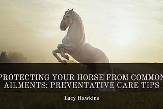 Protecting Your Horse from Common Ailments: Preventative Care Tips