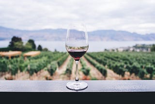 Wine glass half-filled looking over a vineyard