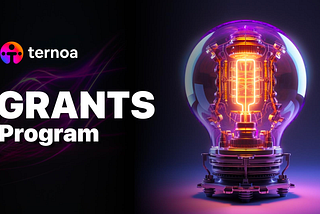 Announcement: Ternoa Grants program