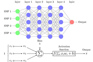 AN INTRODUCTION TO NEURAL NETWORKS AND CONVOLUTIONAL NEURAL NETWORKS