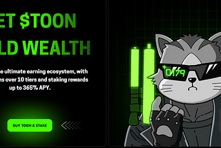 TOON: The Next Big Meme Coin on Solana?