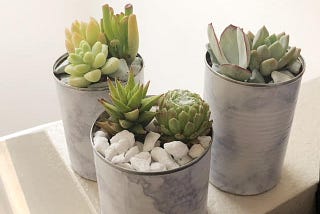 Marble Succulent Pot DIY