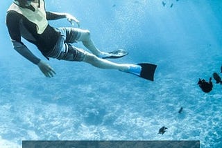 Snorkeling and Scuba Diving: 5 Major Differences Explained