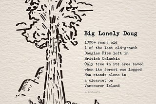 An art tribute and some thoughts on Big Lonely Doug, one of the last remaining old-growth…