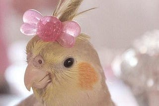 Writing nonfiction in the age of LLMs: The chirping of stochastic parrots