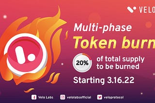Multi-phase Token Burn — 20% of Total Supply