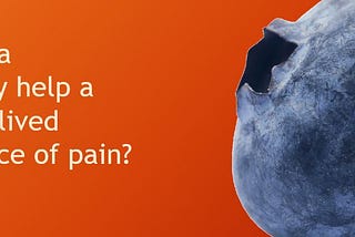 How did a blueberry help a person’s lived experience of pain?