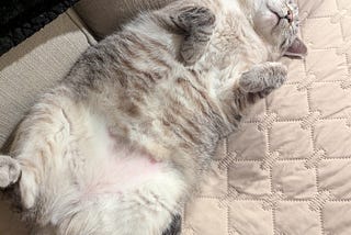 Seven Ways To Manage A Manic Monday