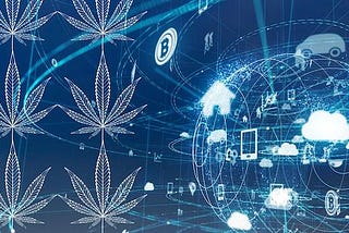 How IoT Technology is Keeping Cannabis Connected