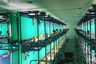 CATCH CHANCE IoT maCH