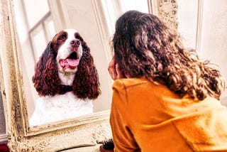 woman looking at her animal self in the mirror