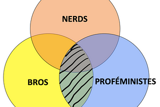 Un diagramme de Venn avec trois cercles: Bros, Nerd et Proféministes