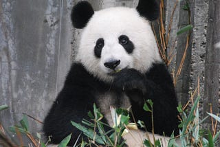 Pandas Tricks:
