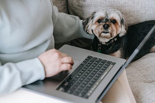 Adorable dog sitting next to an anonymous woman with her hand on the trackpad of a laptop.