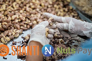 The First SHANTI Project, NutsPay