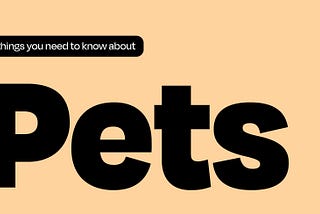 6 Things to Know About Pets 🐶🐱