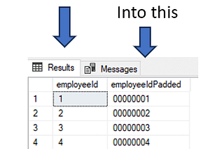 How to pad data with leading zeros in SQL