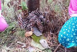 News & Inspiration for Nova Scotia