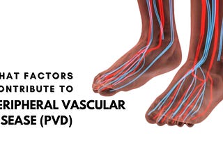 What Factors Contribute to Peripheral Vascular Disease (PVD)?