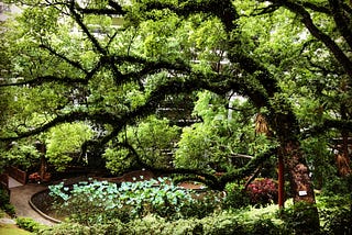 View of Mong Kwok Ping Garden (蒙國平花園) at the University of Hong Kong