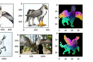 DinoV2-Image Classification, Visualization, and Paper Review
