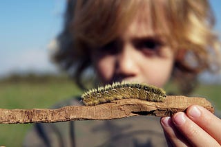We’re Talking About Nature Less and Psychologists Are Worried