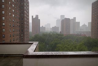 Newsletters From Manhattan — Elsa