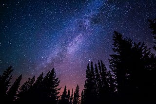 Dark forest at night with galaxy of stars above