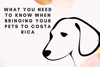 Shipping a Pallet to Costa Rica