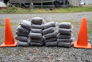 21 gallon-sized bags of invasive mussels that were removed from one of the two tugboats. Bags are stacked 4 wide with 5 bags in 3 stacks and one stack with 6. Traffic cones are on the left and right side of the stack for scale.