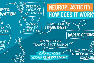 How does neuroplasticity work?