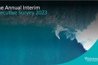 Reflections on the Watermark Interim Executive survey 2023