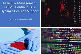 Agile Risk Management (ARM): Continuous & Dynamic Decision Support