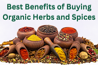 Organic Herbs and Spices