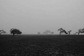 Which trees are coming, which are going