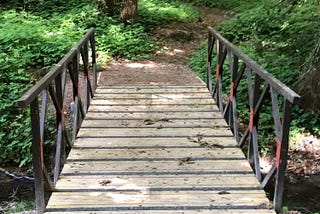 Here’s how children can manage their own risk at Forest School.