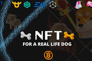 Art NFT. These Are Not Just Pictures. NFT For A Real-Life Dog.