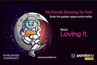 What will happen to PandaInu coin by 2022?