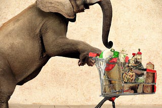 The Elephant In The Room: Grocery Shopping