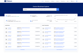 Setting up Metamask for Fantom Blockchain