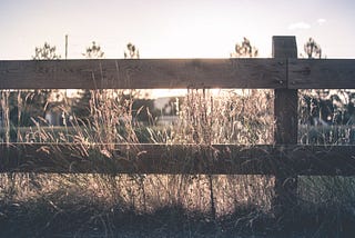 A wooden fence in a field of high grass.