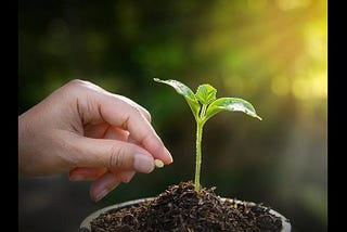 SeedTime And Harvest