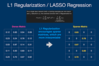 L1 Regularization | one minute summary