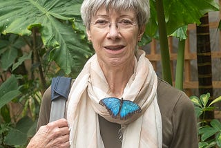Stratford on Avon: Butterfly farm