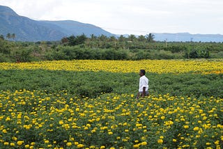 Ordeals of Indian Farmers