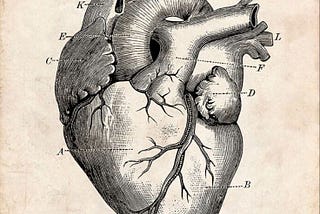 The Secret Language of the Heart: When Emotions Become Illness